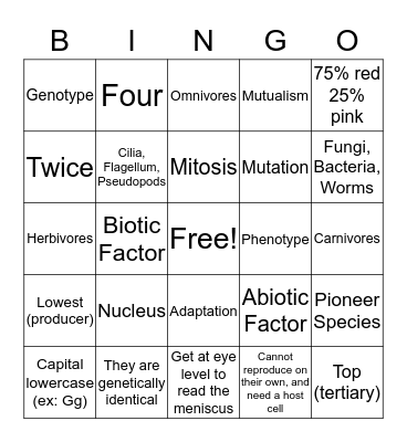 Science Final Bingo 3 Bingo Card