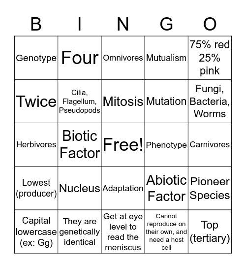 Science Final Bingo 3 Bingo Card