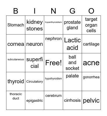 Review Bingo Card