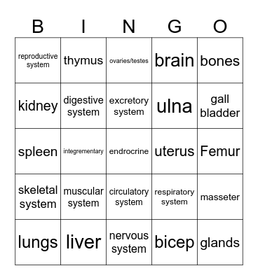 Body System Bingo Card