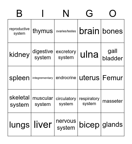 Body System Bingo Card