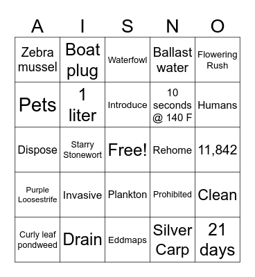 AIS-NO Bingo Card