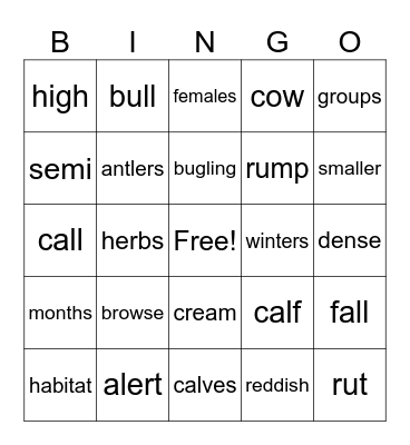 ELK Bingo Card