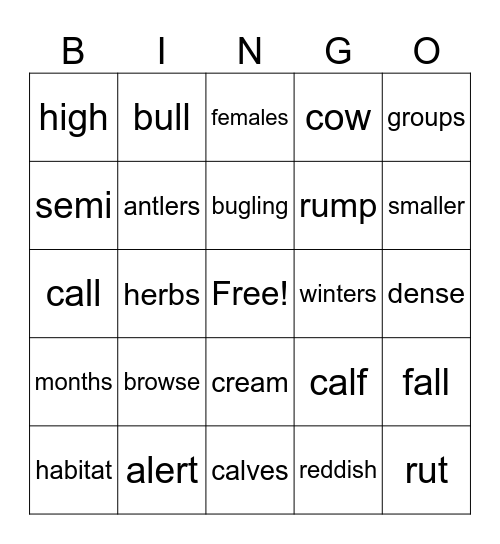 ELK Bingo Card