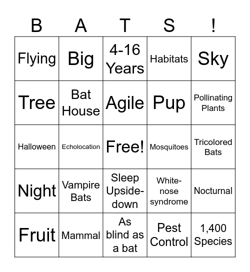 BATS! Bingo Card
