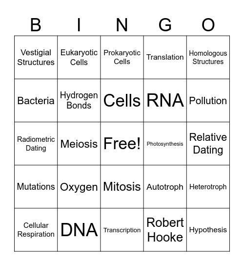 Biology SOL Review Bingo Card