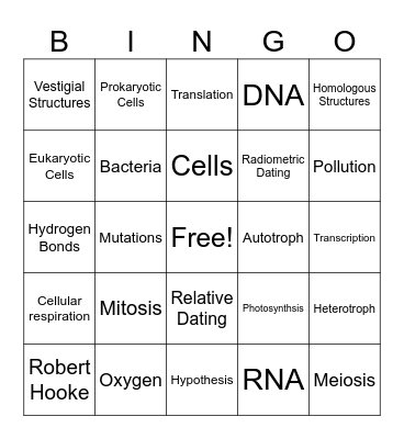 Biology SOL Review Bingo Card