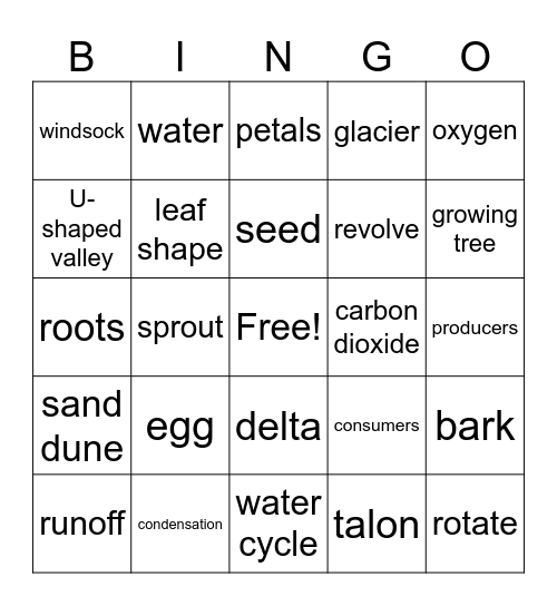 Science EOY Review Bingo Card
