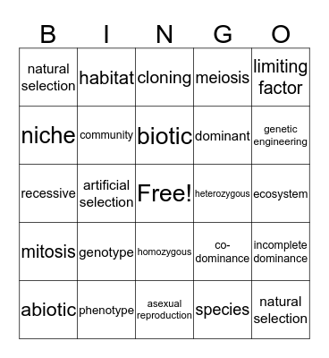 Vocabulary Bingo Card