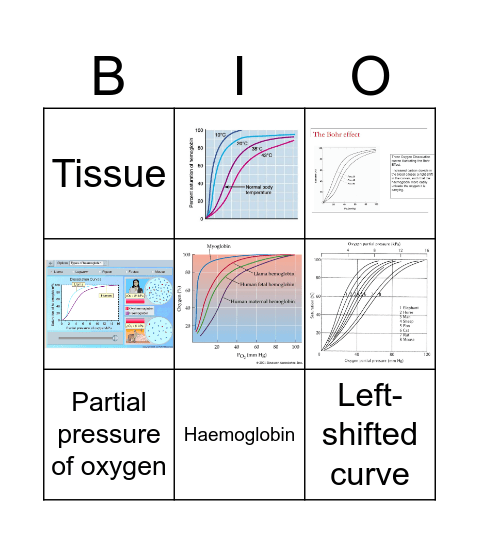 Oxygen Dissociation Curve Bingo Card