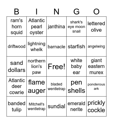 Texas Beach Finds Bingo Card