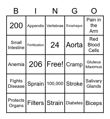 Health Body Systems Bingo Card