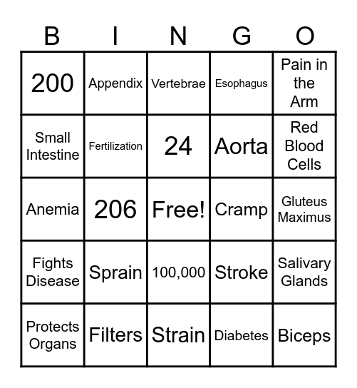 Health Body Systems Bingo Card