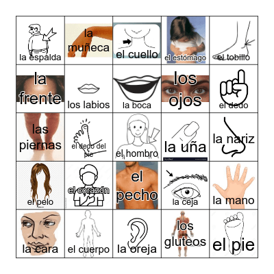 El CUERPO Bingo Card
