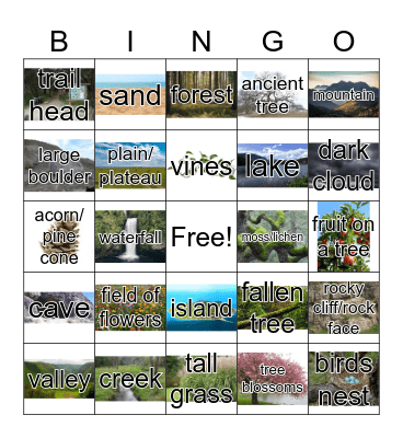 Natural Features Bingo Card