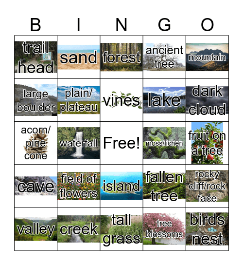 Natural Features Bingo Card