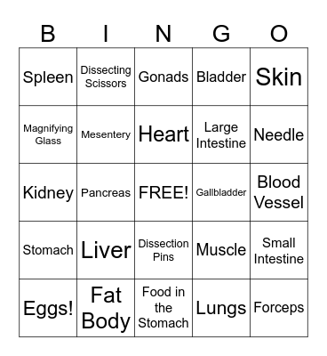 Frog Dissection Bingo Card