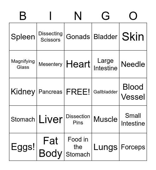 Frog Dissection Bingo Card