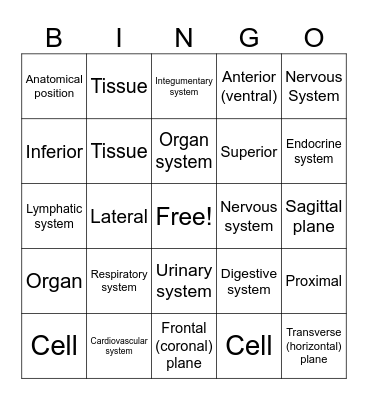 Human Body Systems Bingo Card