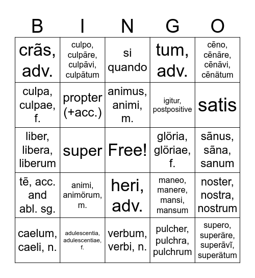 Latin Chapter 5 Bingo Card