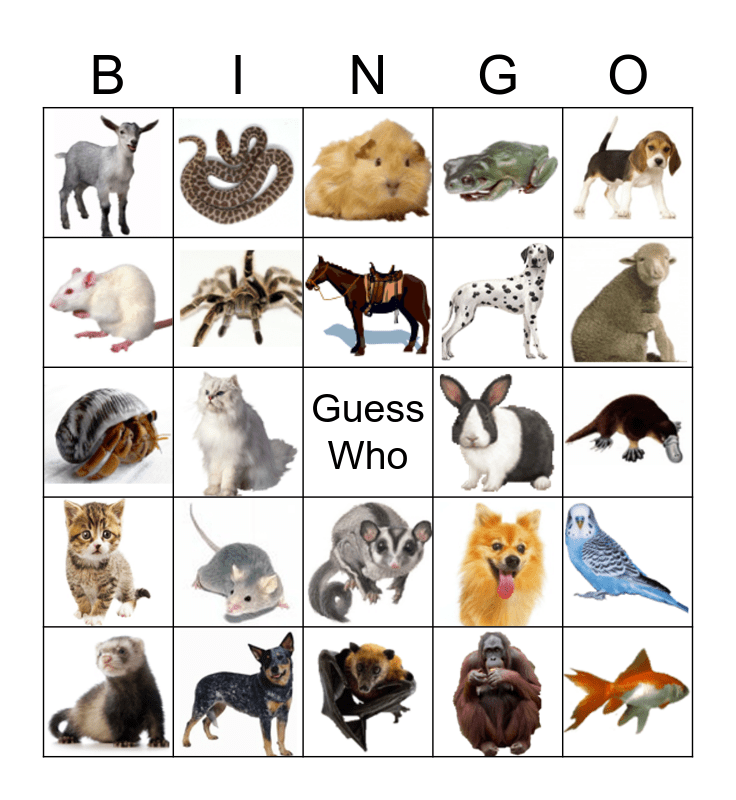 Virtual Guess Who Bingo Card