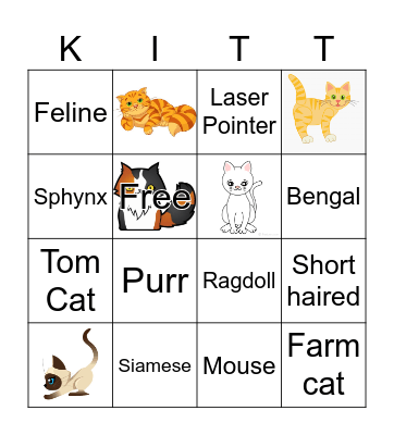 Cat Bingo Card