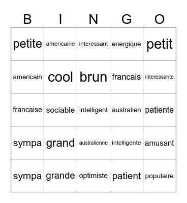 French Adjectives Bingo Card