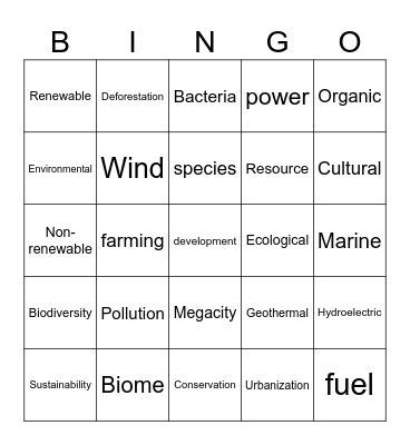 Kaitiakitanga Bingo Card