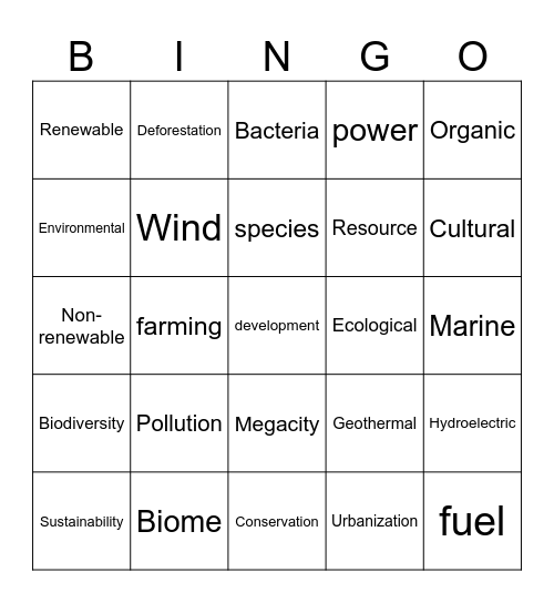 Kaitiakitanga Bingo Card