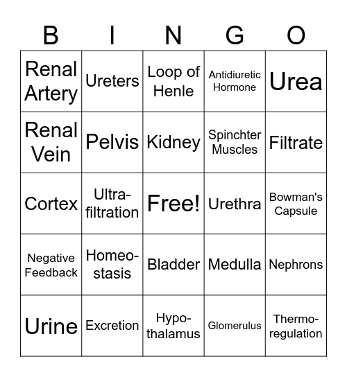 Homeostasis and Excretion Bingo Card
