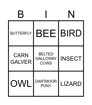 NATURE BINGO Card