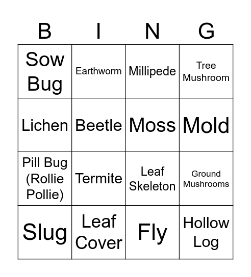 Decomposition Bingo Card