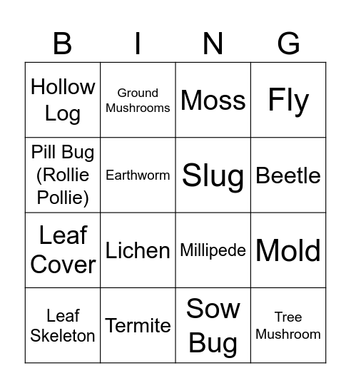 Decomposition Bingo Card