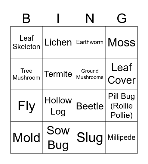 Decomposition Bingo Card