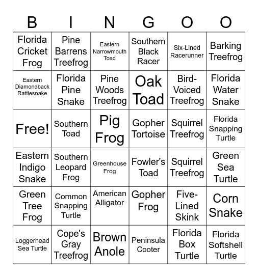 Reptile & Amphibian Bingo Card