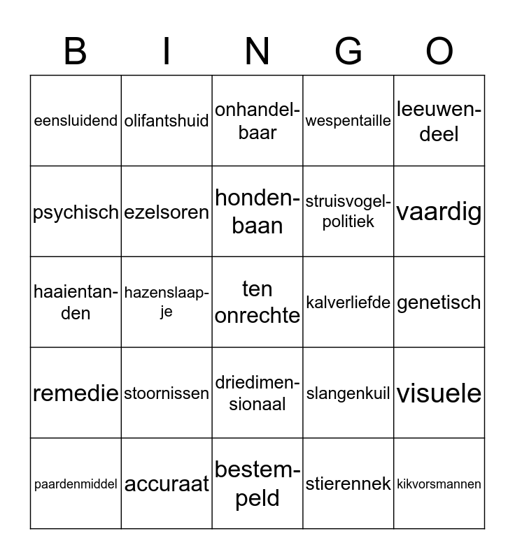 B1V Woordenschat HS 5 Bingo Card