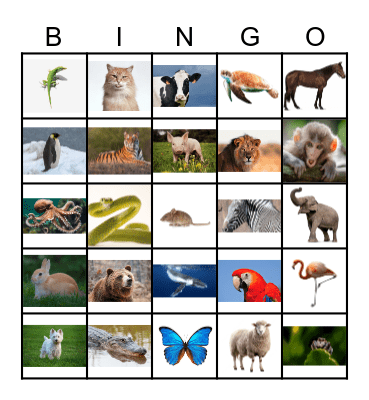 Animal Riddles Bingo Card
