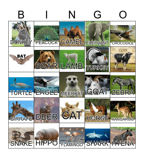 ANIMAL Bingo Card