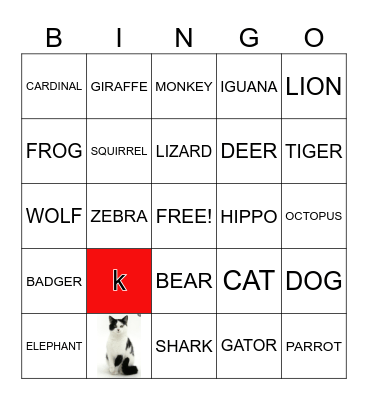 ANIMAL Bingo Card