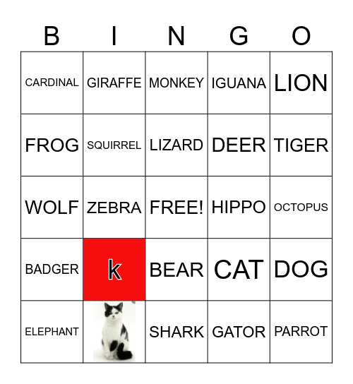 ANIMAL Bingo Card