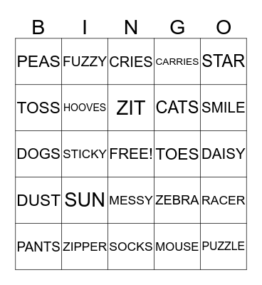 S AND Z  Bingo Card
