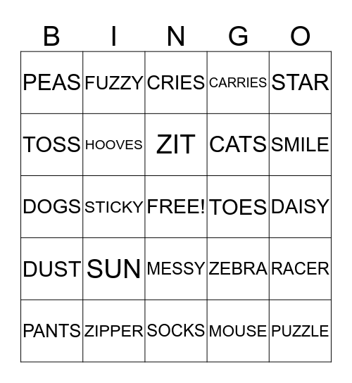 S AND Z  Bingo Card