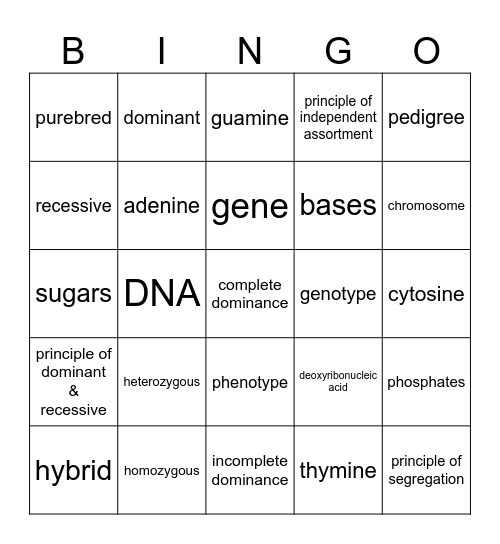 Genetics Bingo Card