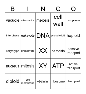 cells, cells, cells Bingo Card