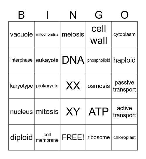 cells, cells, cells Bingo Card