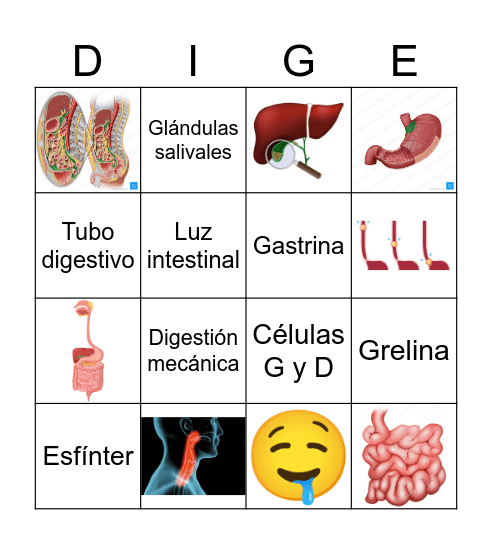 Bingo digestivo Bingo Card