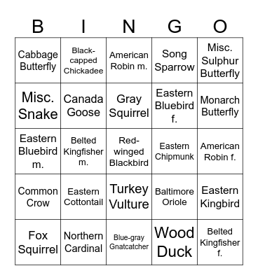 Forest Preserve Fun Bingo Card