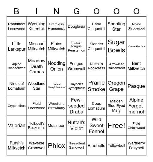 2024 Wildflower Bingo Hike Bingo Card