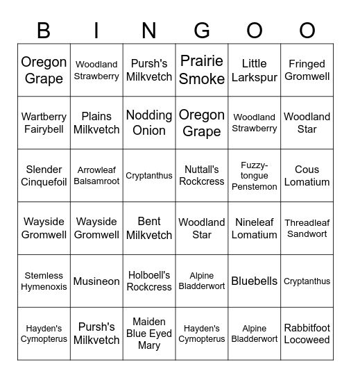 2024 Wildflower Bingo Hike Bingo Card