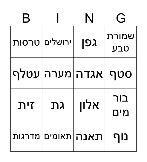 -סטף ונחל מערה -נווה מנחם Bingo Card